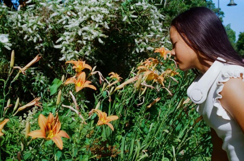 Full-day Impressionism Tour: Giverny and Marmottan - Who Should Consider This Tour?