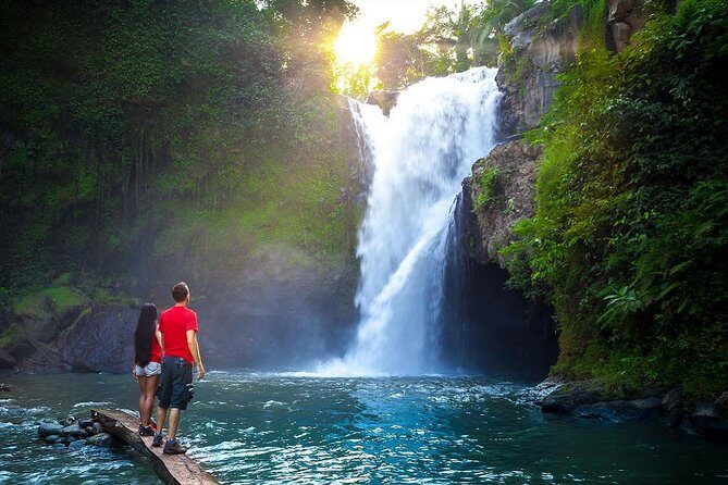 Full-Day in Bali: Amazing Ubud Tour - Who Will Love This Tour?