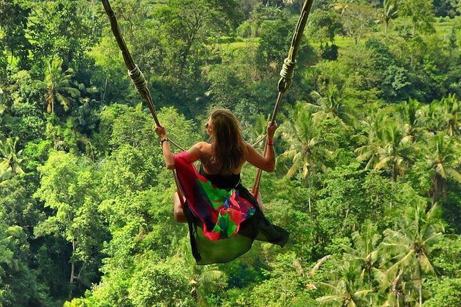 Full-Day in Bali: Private Design-Your-Own Tour - A Deep Dive into the Experience