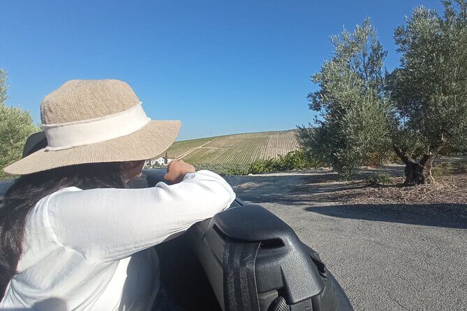Full day in Cordoba between Vineyards and Olive Trees with a Convertible Car - Authenticity and Insight from Reviewers
