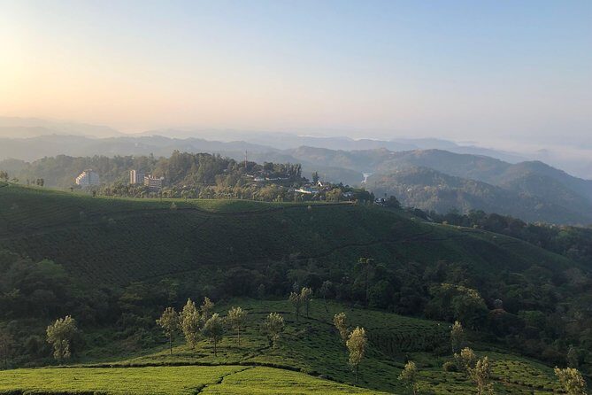 Full day in hiking in Munnar (By Munnar Info) - What to Expect from the Itinerary
