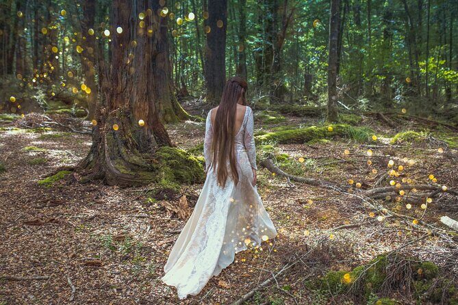 Full Day in Middle Earth - Lord of the Rings Tour - Key Points