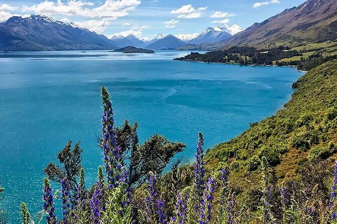 Full Day in Middle Earth - Lord of the Rings Tour - Practical Considerations