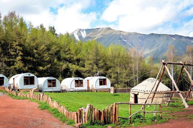 Full Day in Nature at Chunkurchak and Ala Archa National Park - What Travelers Are Saying