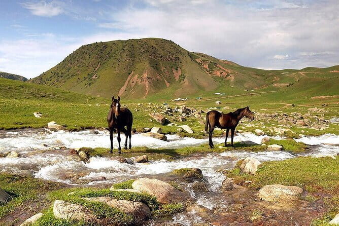 Full Day in Nature at Chunkurchak and Ala Archa National Park - FAQ