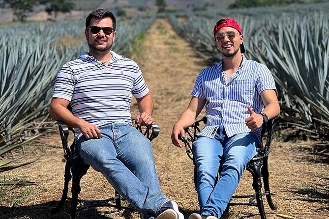 Full Day in Tequila with Tasting and party in Cantaritos - The Sum Up