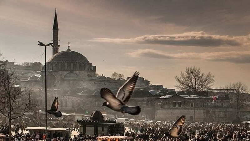 Full Day Istanbul 1, 2 or 3-Day Private City Guided Tour - Who Should Book This Tour?