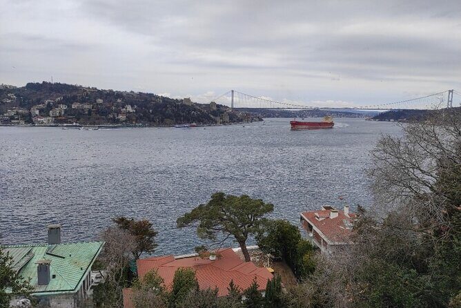 Full Day Istanbul Bosphorus Cruise and Dolmabahce Palace Tour with Private Guide - Highlights of the Itinerary