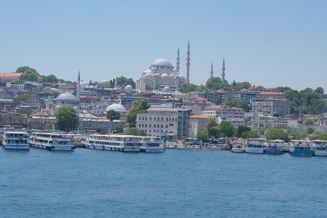 Full Day Istanbul Bosphorus Cruise and Dolmabahce Palace Tour with Private Guide - Who Is This Tour Best For?