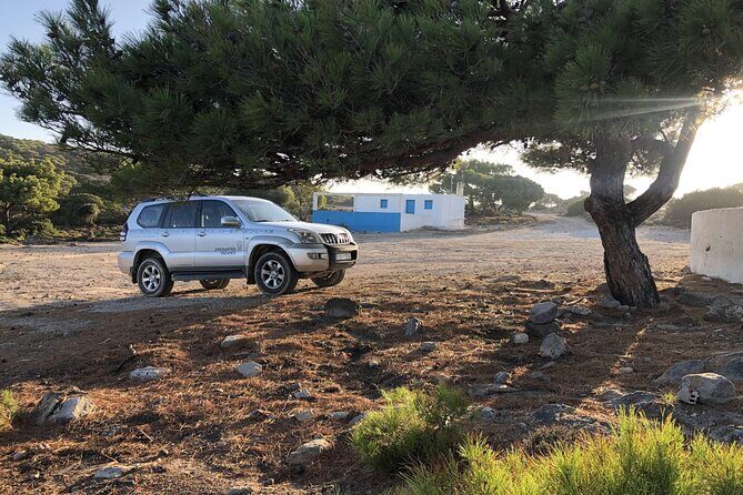 Full-Day Jeep Safari in Kos and Kefalos with Lunch - Key Points