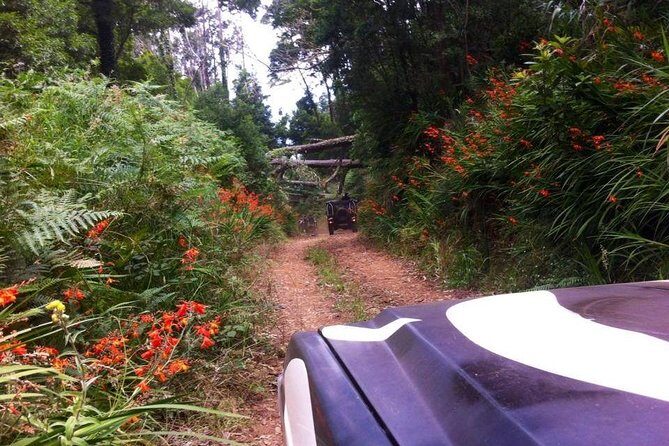 Full-Day Jeep Safari West - Porto Moniz - Seixal - Cabo Girão - An In-Depth Look at the Madeira Jeep Safari