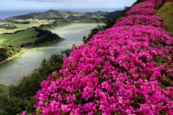 Full Day Jeep Tour Furnas with lunch (Cozido) and drinks included - Introduction: A Day of Volcanic Wonders and Local Flavors