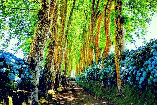 Full day jeep tour Nordeste with lunch included - Key Points