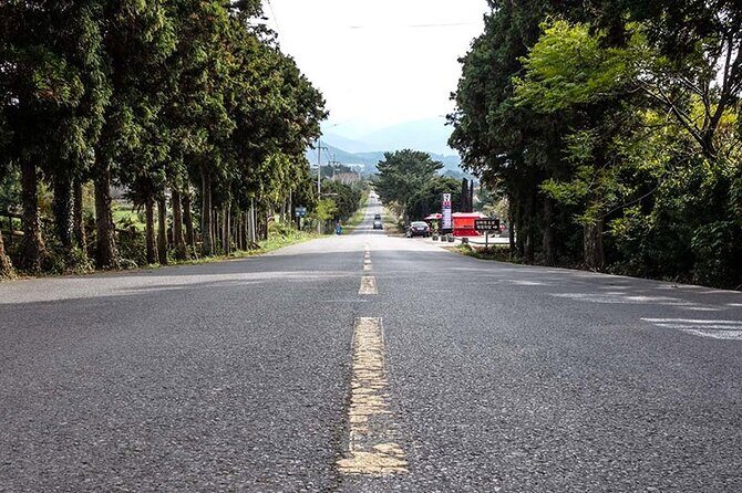 Full-Day Jeju Island SOUTH Tour (entrance fee included) - Who is This Tour Best For?