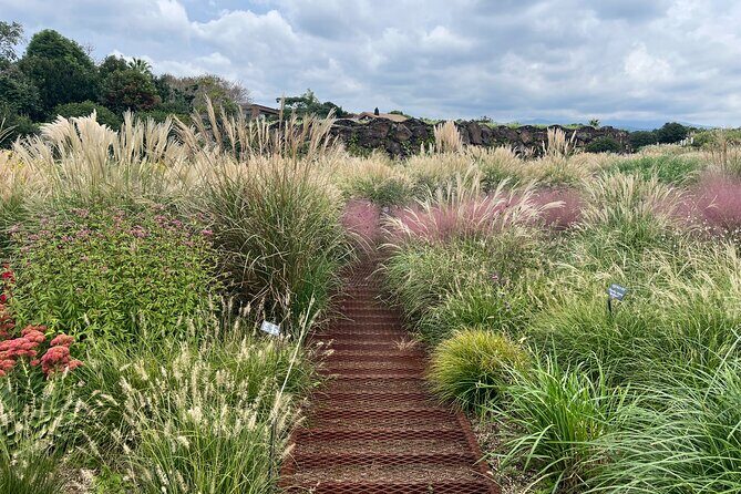 Full-Day Jeju Island SOUTH Tour (entrance fee included) - Final Thoughts