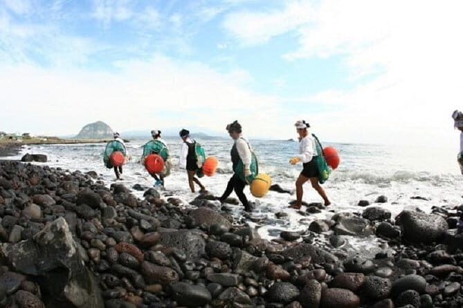 Full Day Jeju Private Customizable highlight Tour - Why Choose This Tour?