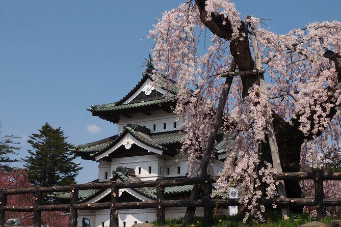 Full-Day Jomon World Heritage Site Tour in Hirosaki Area - An In-Depth Look at the Itinerary
