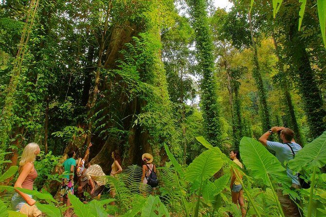Full-Day Jungle Tour Including Tiger Cave Temple, Crystal Pool and Krabi Hot Springs - Frequently Asked Questions