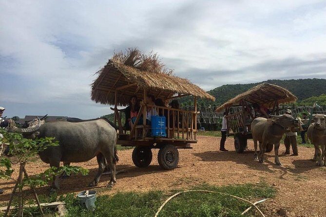 Full-Day Kampot & Kep with a local Tuk Tuk Tours - Exploring the Itinerary in Detail