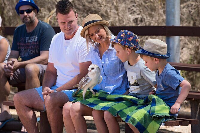 Full Day Kangaroo Island Sip and See Tour departing from Kangaroo Island - Key Points