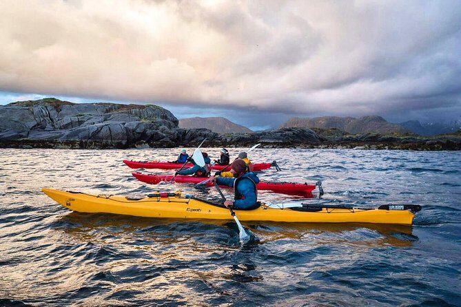 Full Day Kayak-Northern Explorer - An In-Depth Look at the Lofoten Kayaking Experience