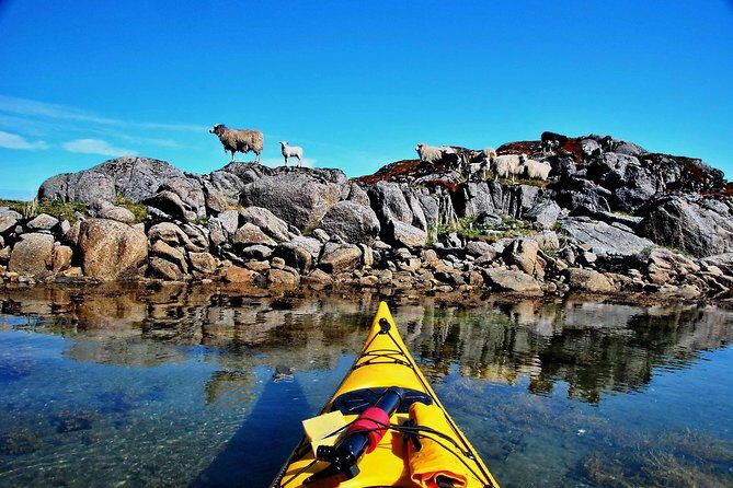 Full Day Kayak-Northern Explorer - FAQ