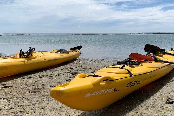 Full Day Kayaking Tour in Coorong National Park - Who Should Book This Tour?
