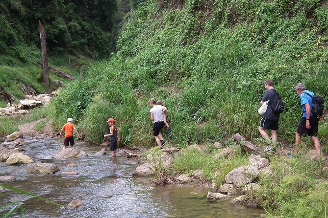 Full Day Khao Sok National Park Tour from Krabi with Bamboo Rafting & Lunch - The Itinerary: Breaking Down the Day