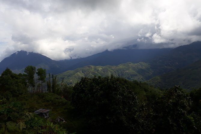 Full-Day Kinabalu Park and Poring Hot Spring - Who This Tour Is Perfect For