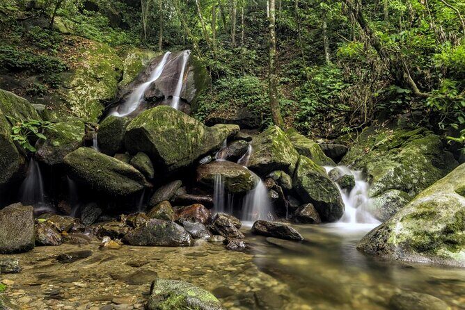 Full-Day Kinabalu Park and Poring Hot Spring Day Trip - Key Points