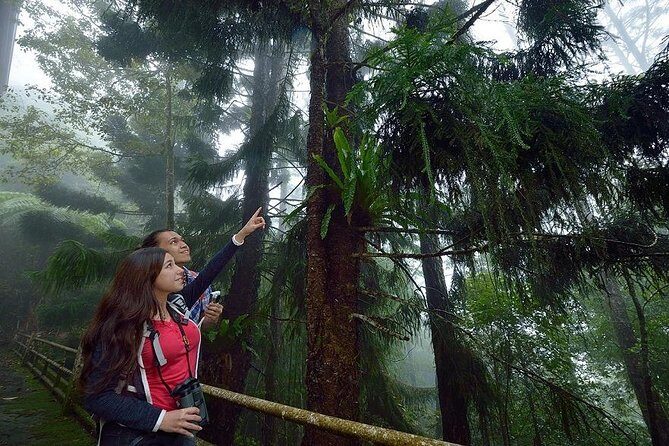 Full-Day Kinabalu Park and Poring Hot Spring Day Trip - Final Wrap-Up: Is It Worth It?