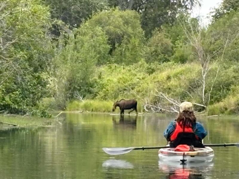 Full Day Knik River Tour - Key Points
