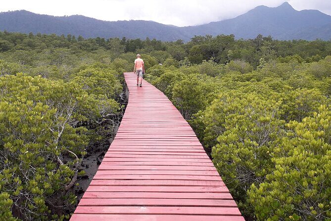 Full-Day Koh Chang Tour with Lunch - Who Is This Tour For?