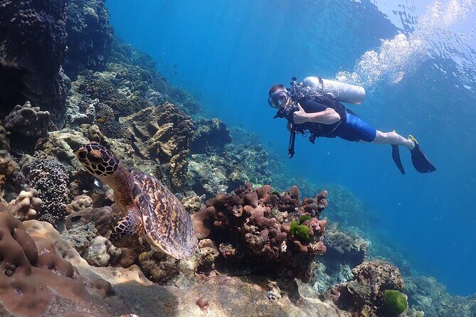 Full-Day Koh Phi Phi Scuba Diving Course from Phuket - The Sum Up