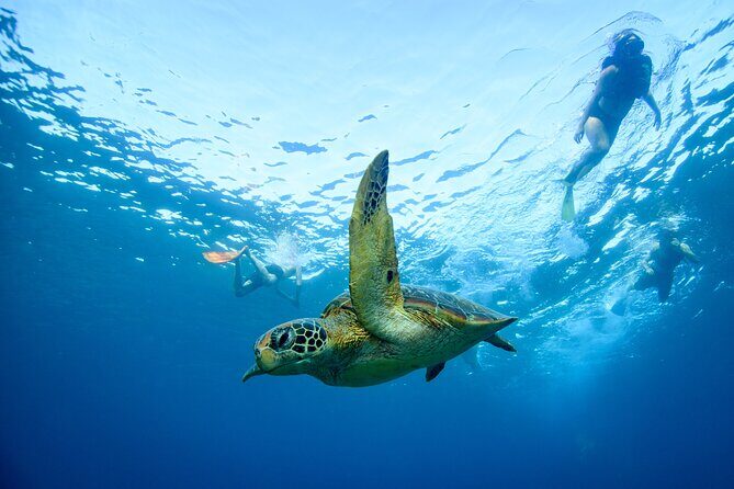 Full Day Land and Sea Tour to Nusa Penida with 4 Snorkeling Spots - Who Should Consider This Tour?