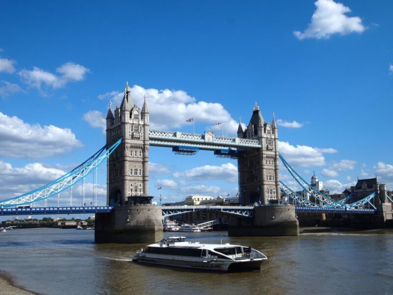 Full Day London Tour in a Private Vehicle with Admission - FAQ