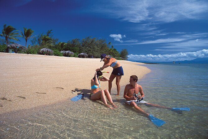 Full Day Low Isles Sailing & Snorkelling Cruise from Port Douglas - The Experience in Detail