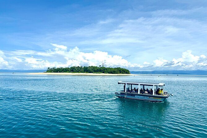 Full Day Low Isles Sailing & Snorkelling Cruise from Port Douglas - Possible Downsides or Considerations