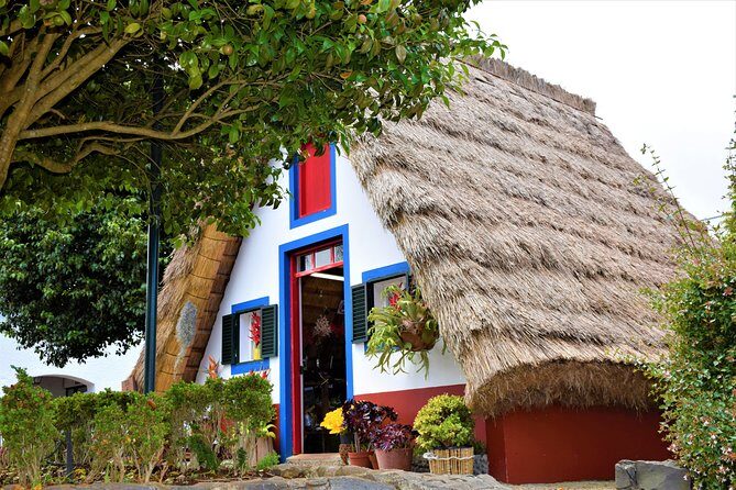 Full Day - Madeira East - The Practicalities: What to Expect