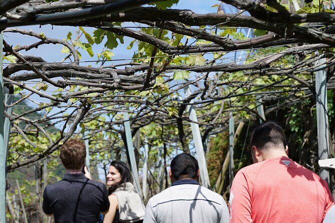 Full-Day Madeira Wine Tasting Tour with Lunch - Why Travelers Love This Tour