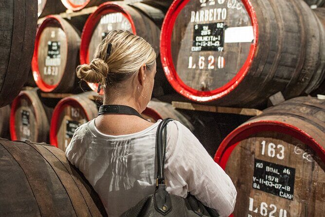 Full-Day Madeira Wine Tasting Tour with Lunch - Who Should Consider This Tour?