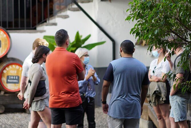 Full-Day Madeira Wine Tasting Tour with Lunch - The Sum Up