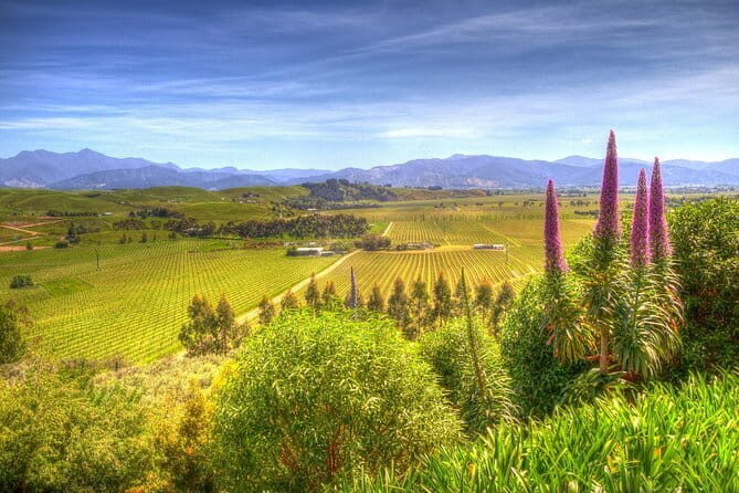 Full-Day Marlborough Scenic and Wine Tour from Blenheim - Who Will Love This Tour?