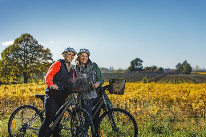 Full-Day Marlborough Wine Region Bike Hire - Key Points