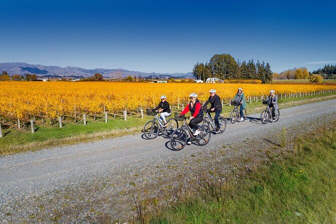 Full-Day Marlborough Wine Region Bike Hire - FAQ