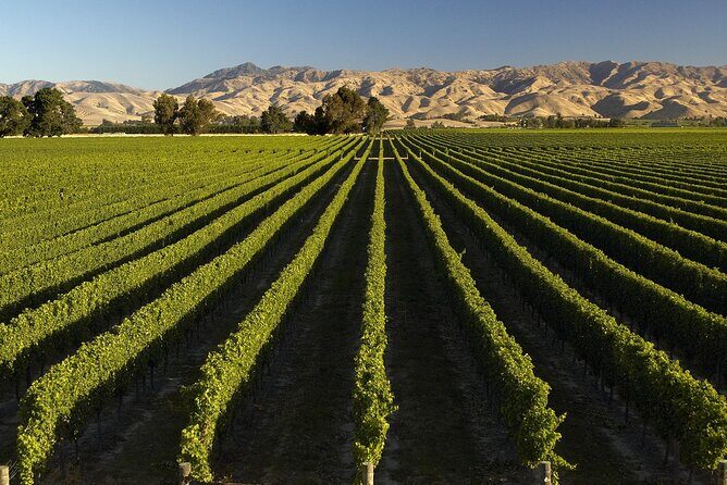 Full-Day Marlborough Wine Tour from Blenheim - FAQ