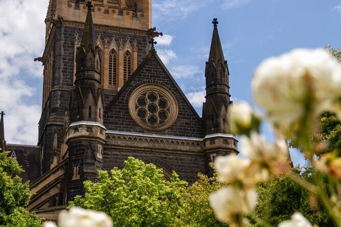 Full-day Melbourne City Sightseeing with Penguin Parade - The Sum Up