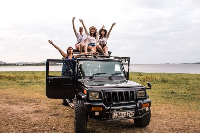 Full-Day Minneriya and Kaudulla National Parks Private Safari - An In-Depth Look at the Experience
