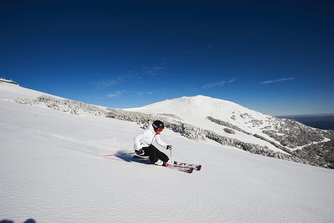 Full-Day Mount Buller Tour - Exploring the Itinerary: What to Expect