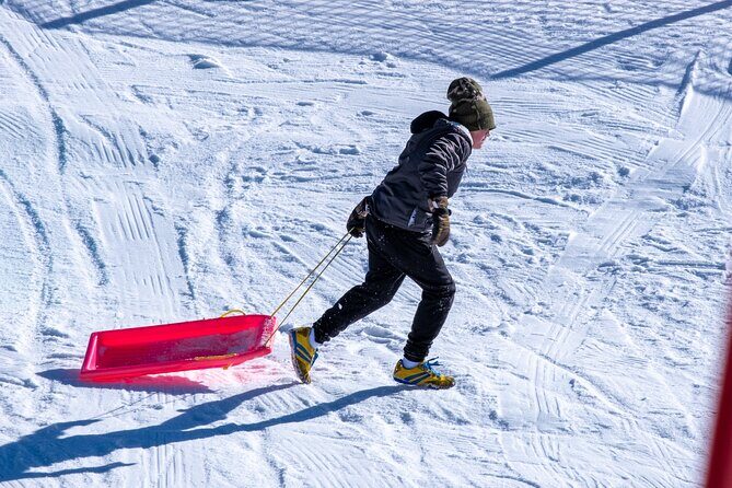 Full-Day Mount Buller Tour - Who Should Consider This Tour?